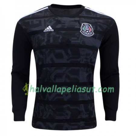 Jalkapallo Pelipaidat Meksiko Kotipaita Copa América 2019 Pitkähihainen